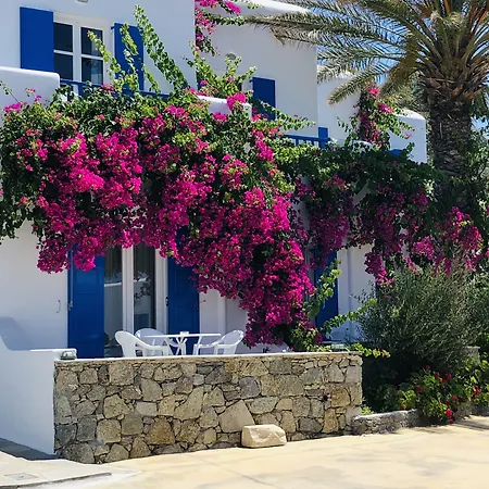 Anemos & Appart hôtel 4*